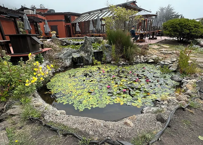 Ragged Point Inn San Simeon
